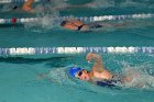 Swimming vs Bentley  Wheaton College Swimming & Diving vs Bentley College. - Photo by Keith Nordstrom : Wheaton, Swimming & Diving